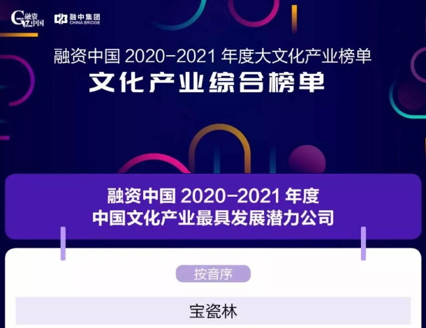 最新消息！寶瓷林喜提融資中國本年度“中國